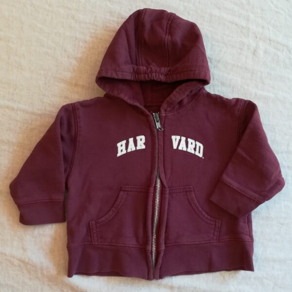 Sweat - The Harvard Shop - 12M