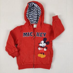 Gilet - Disney - 18M
