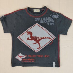 T-shirt manches courtes - Du Pareil au Même - 2A