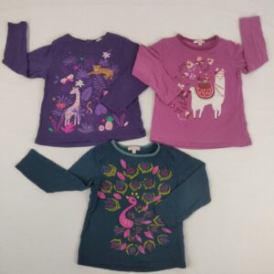 T-shirt manches longues - Du Pareil au Même - 5A