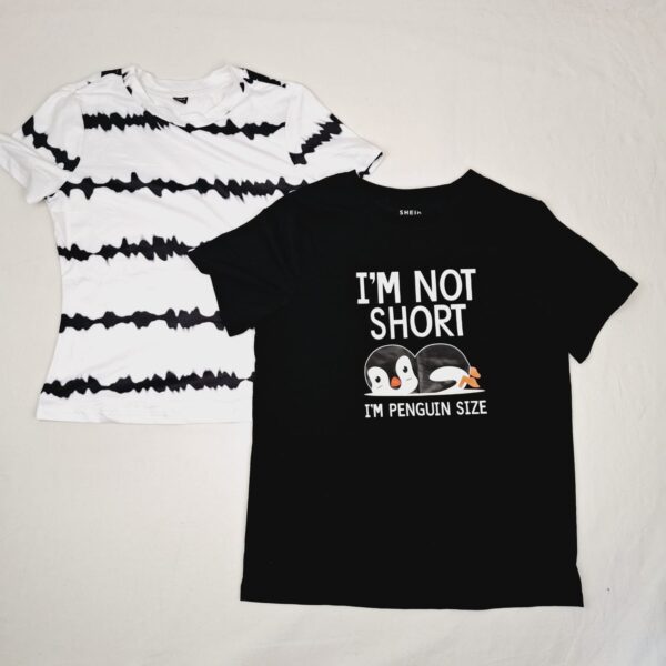 T-shirt manches courtes - Shein - 14A