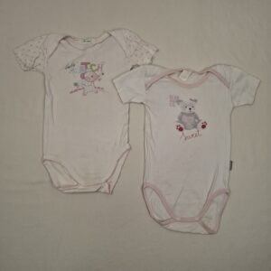 2 bodies - Absorba - 3A