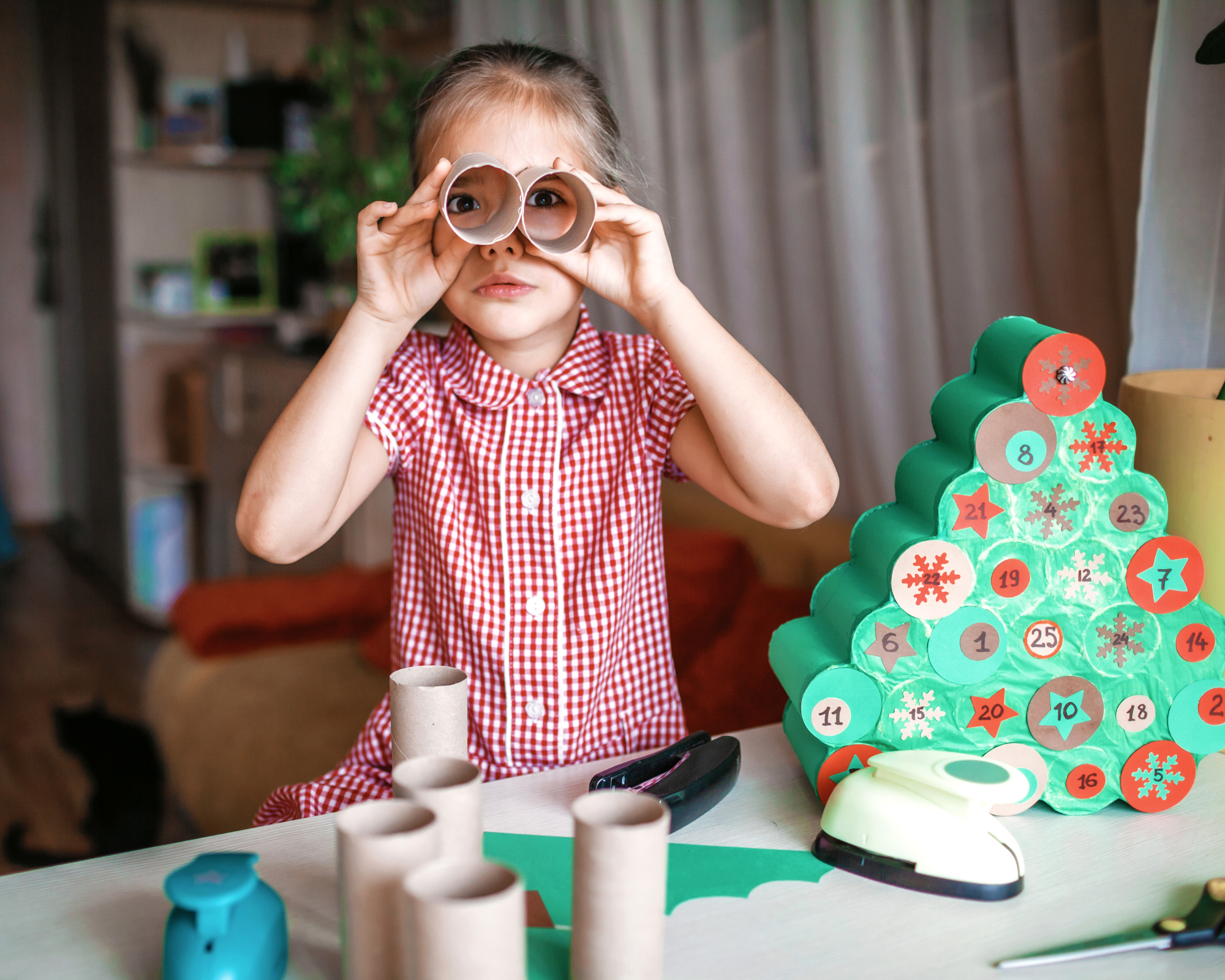 DIY Zero déchet calendrier avent rouleaux papier toilette