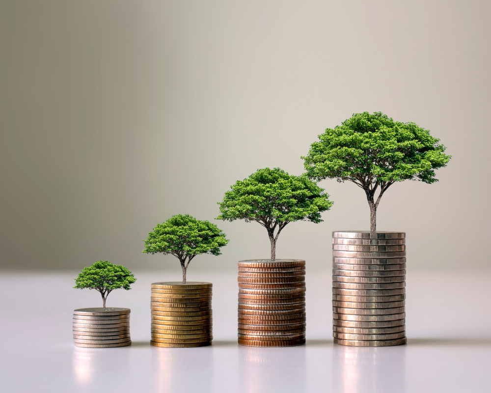 seconde main économique écologique