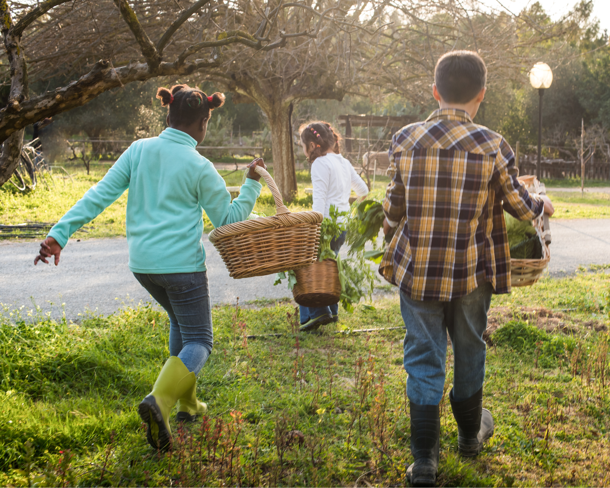 nature sensibilisation environnement enfant
