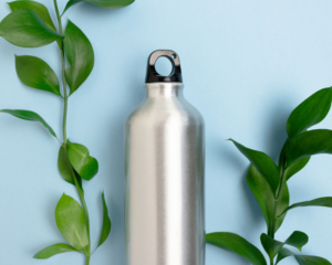 Gourde avec arrière-plan de plante verte